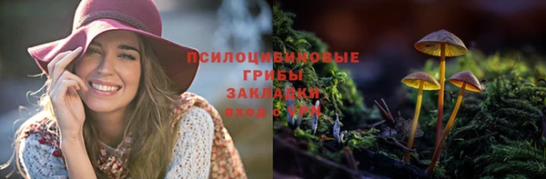 2c-b Баксан
