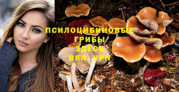 2c-b Баксан