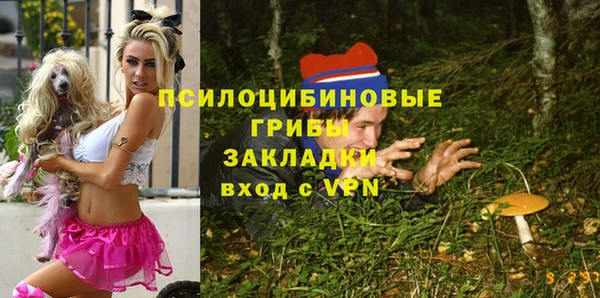 амф Балахна
